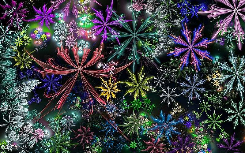 Colorful fractal flowers online puzzle