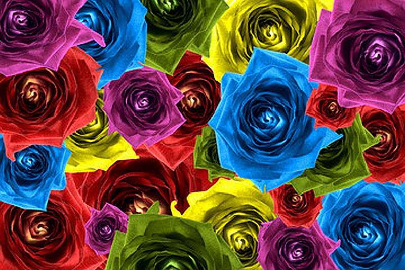 Composição de rosa, flo colorido quebra-cabeças online
