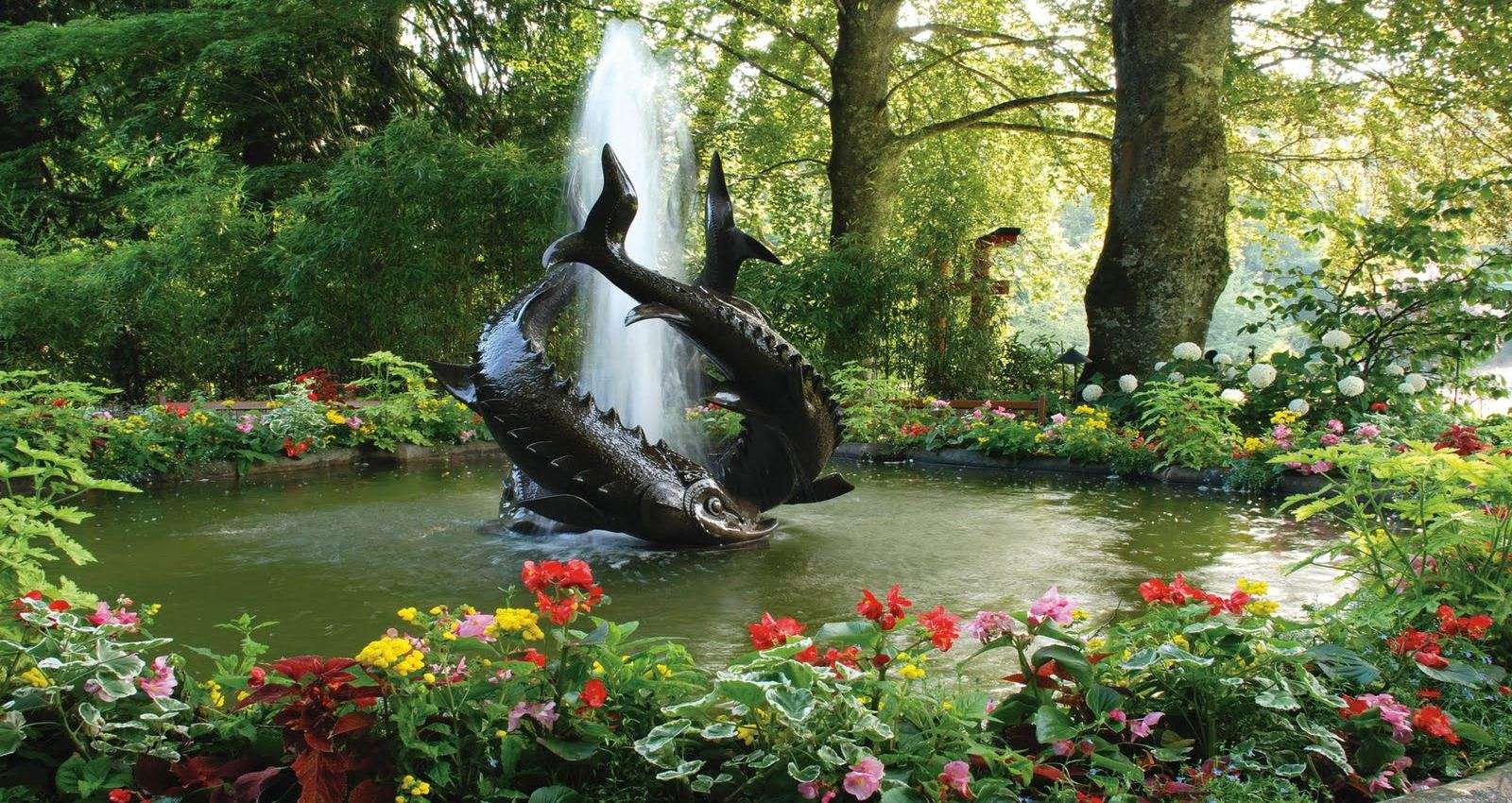 Fountain-fish jigsaw puzzle online