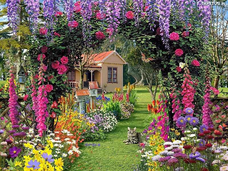 Jardín, flores, gato, casa rompecabezas en línea