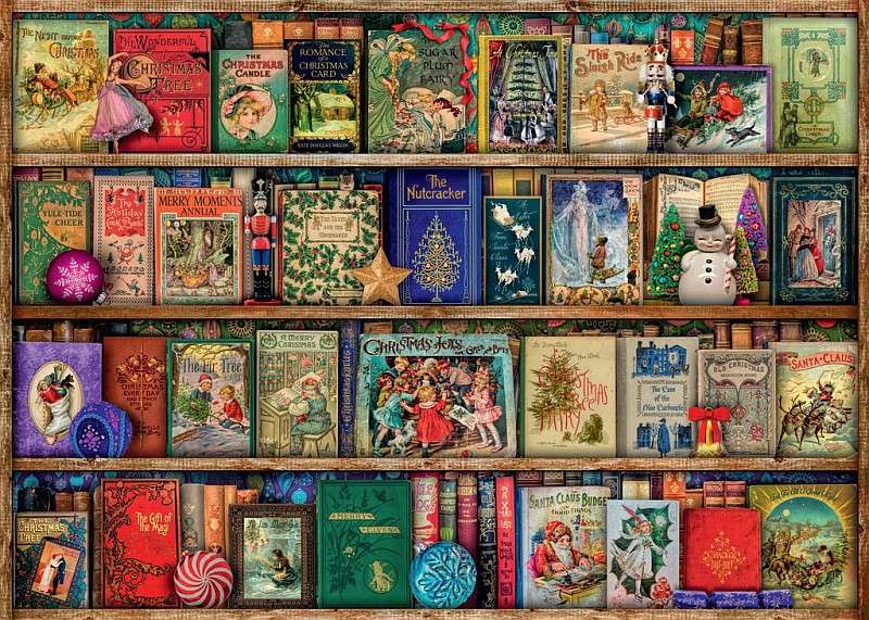 Bookshelf with books for child jigsaw puzzle online