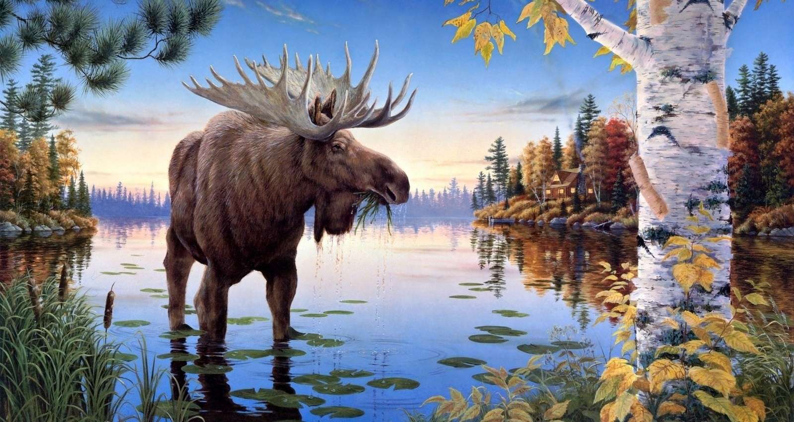 Elk na řece online puzzle
