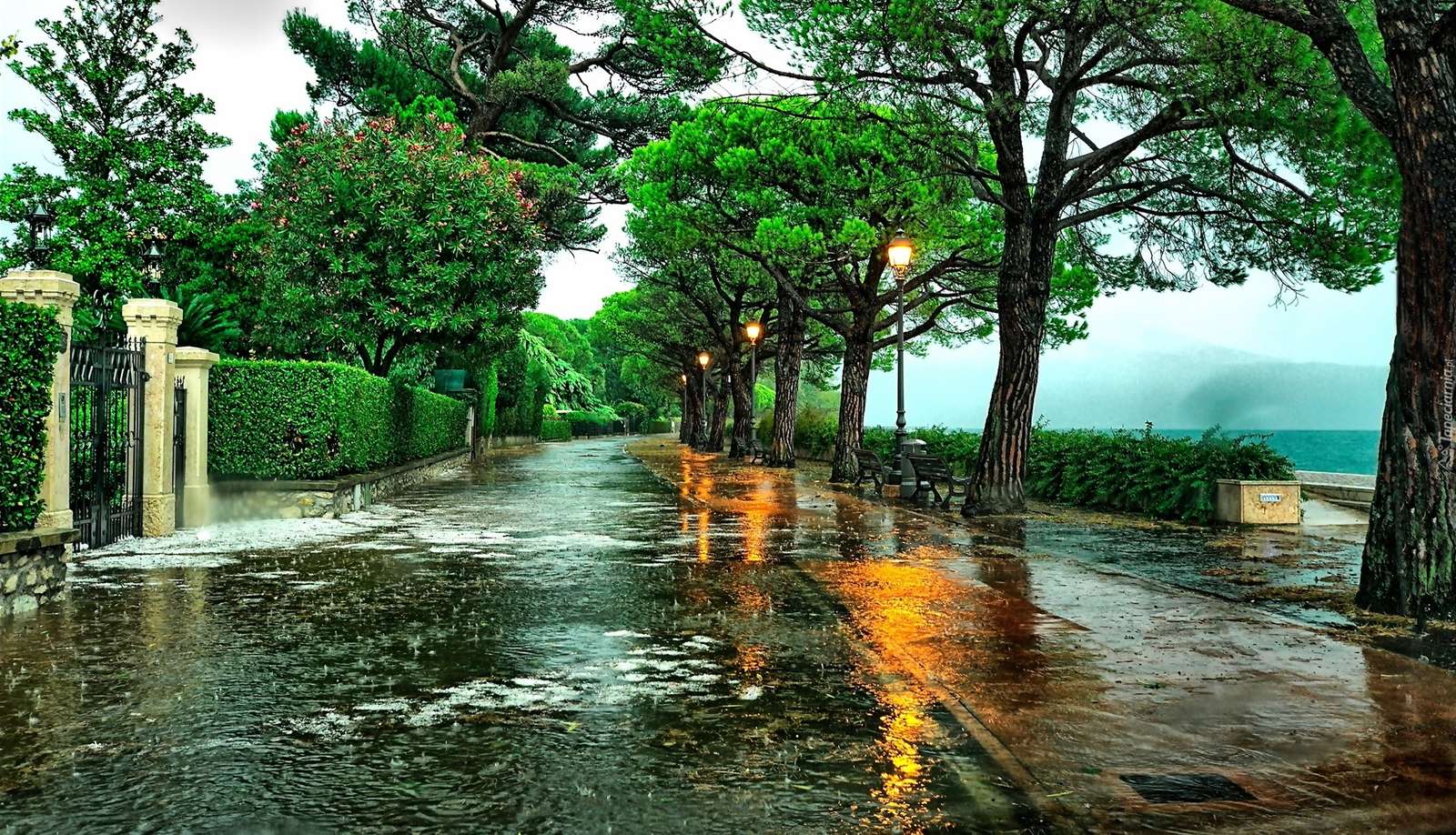 Улица дождя в Италии онлайн-пазл