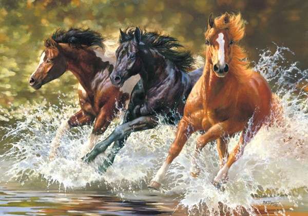 Paarden in galop online puzzel