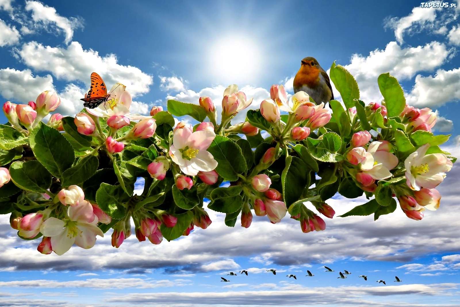 Flowers of the fruit tree online puzzle