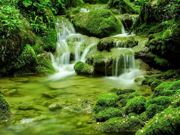 Mossy boulders jigsaw puzzle online
