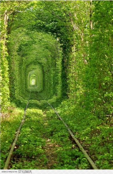 ivy tunnel jigsaw puzzle online