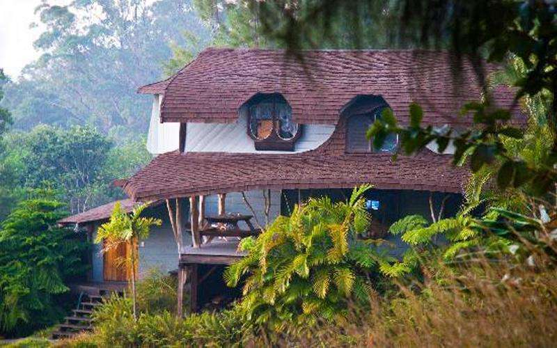 Εξοχικό σπίτι στο δάσος online παζλ