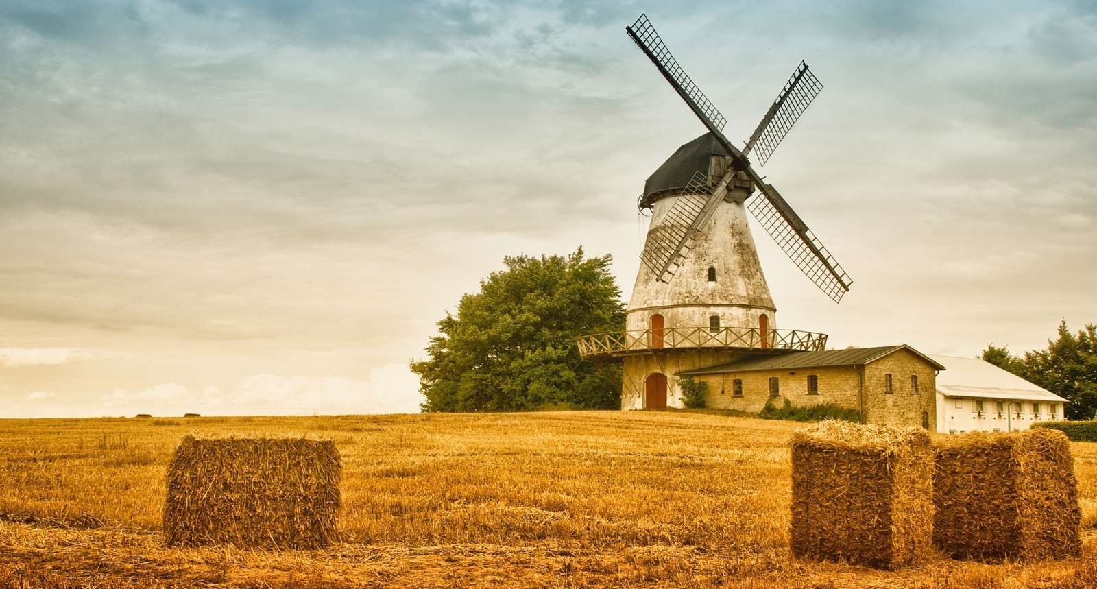 Windmill in the field online puzzle
