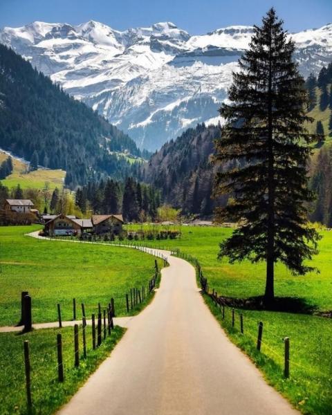 Бернски хайлендс, Швейцария онлайн пъзел