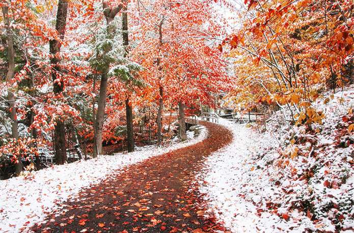 A természet szépsége téli ősszel online puzzle