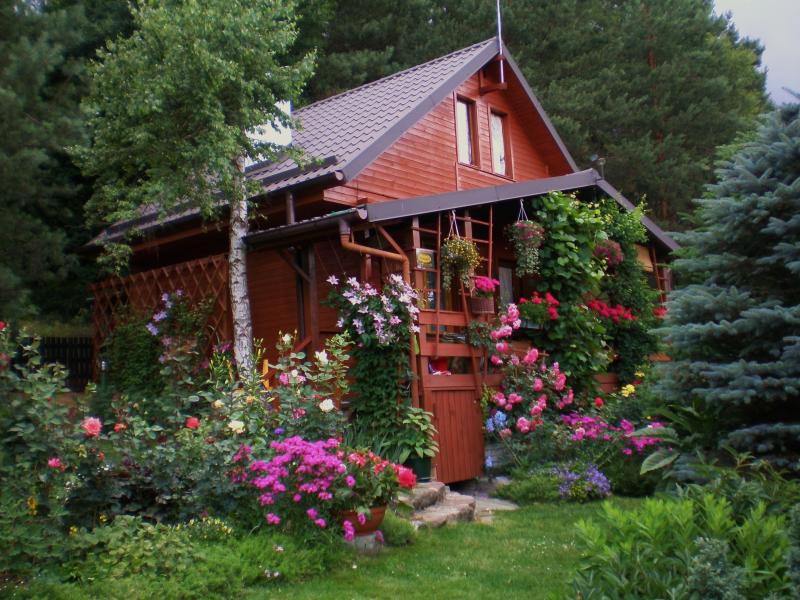 μικρό σπίτι στο καλοκαιρινό δάσος παζλ online