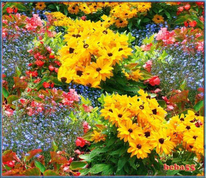 I fiori più belli del mondo puzzle online