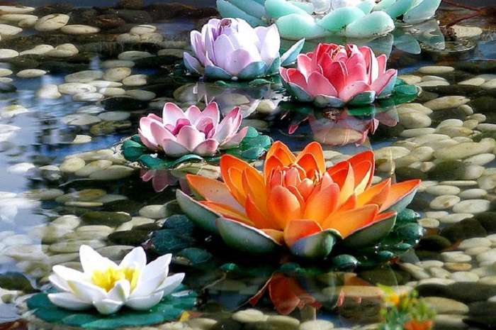 Schwimmende bunte Blumen Puzzlespiel online
