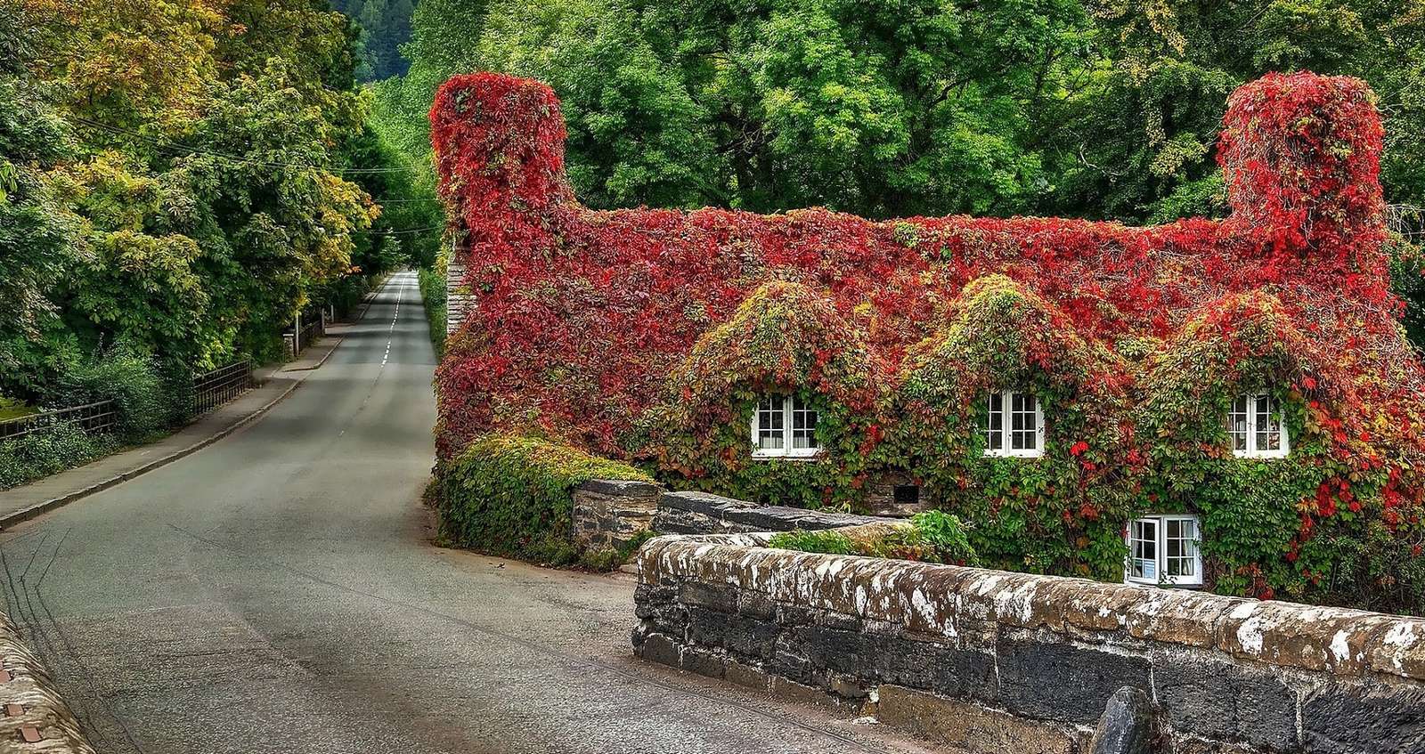 Uma casa coberta de vegetação quebra-cabeças online
