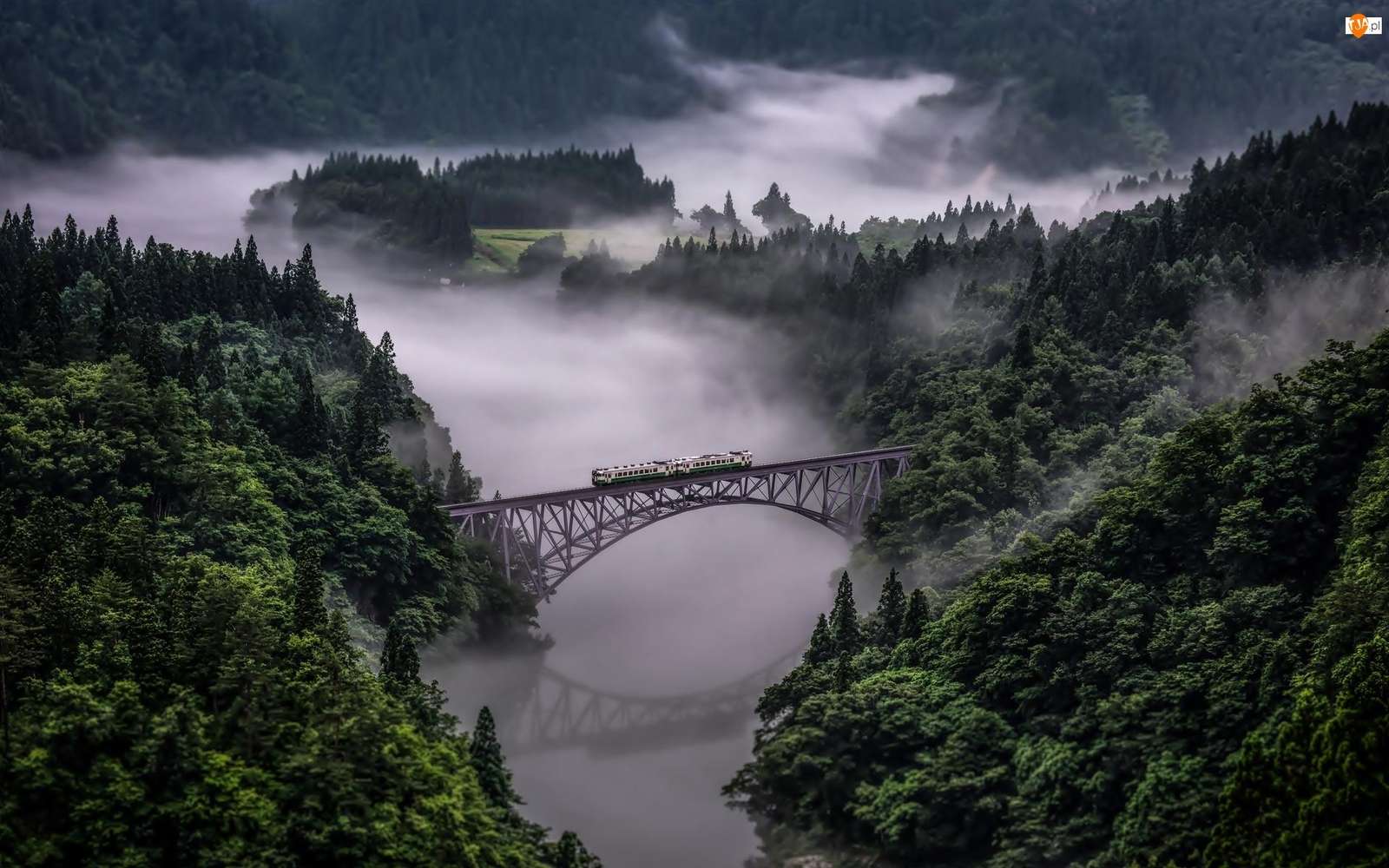 train in the fog jigsaw puzzle online