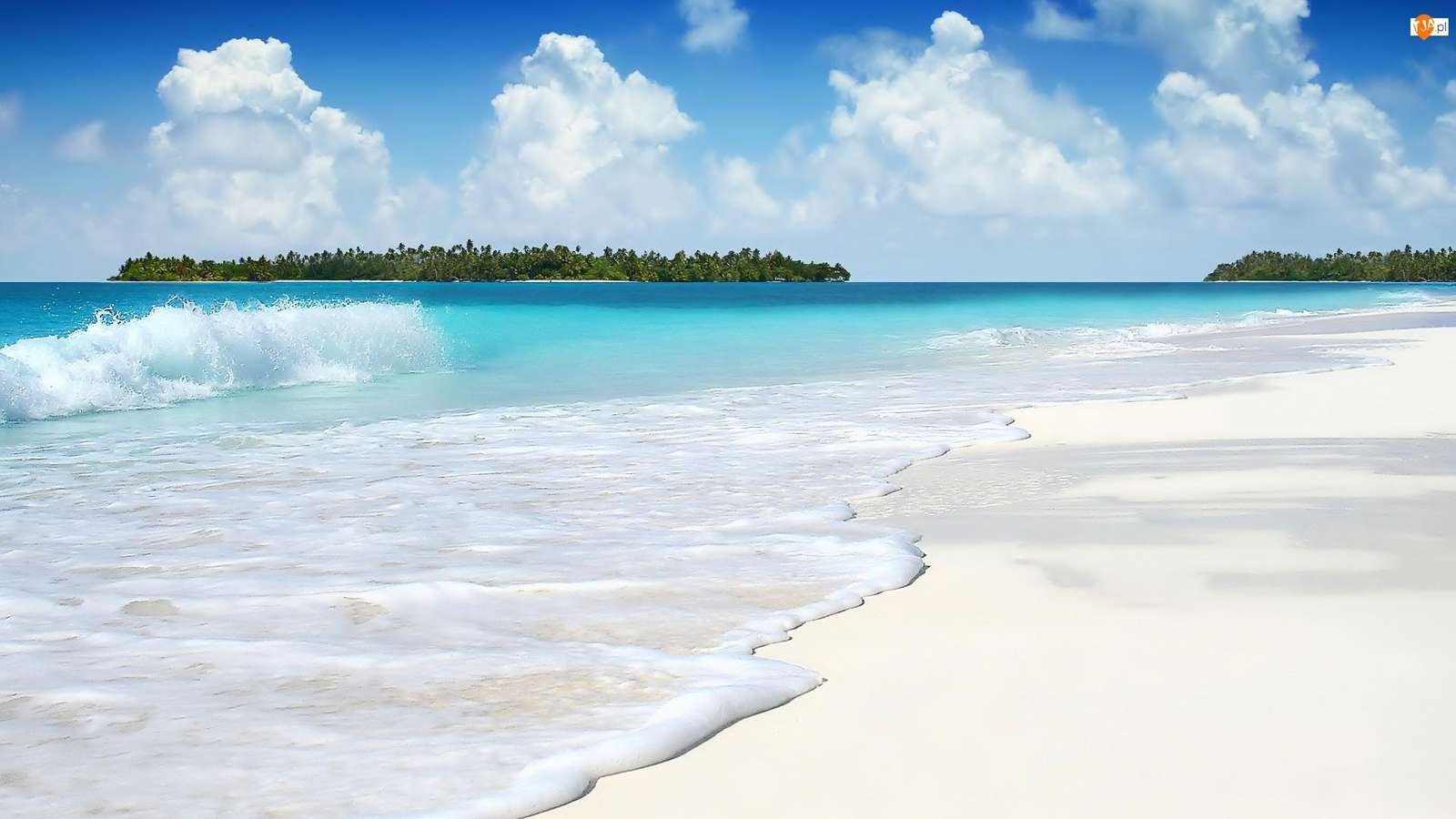 pláž v tropech online puzzle