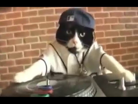 DJ-katt 6789 pussel på nätet