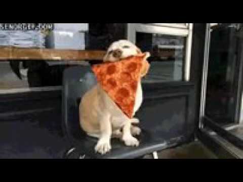 Benek som äter pizza Pussel online