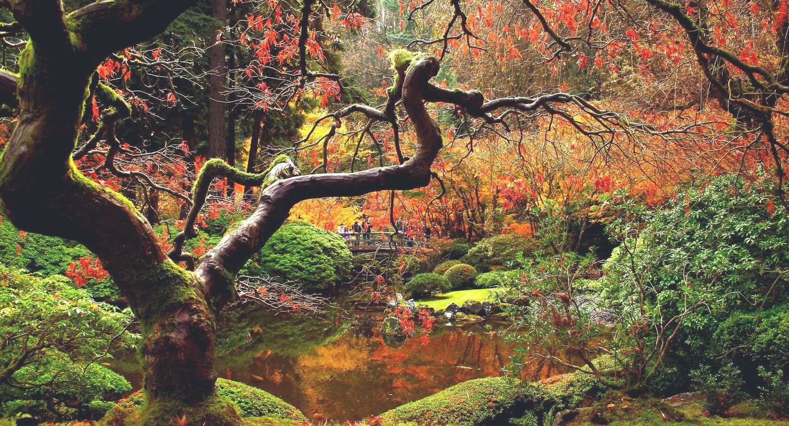 秋の森 ジグソーパズルオンライン