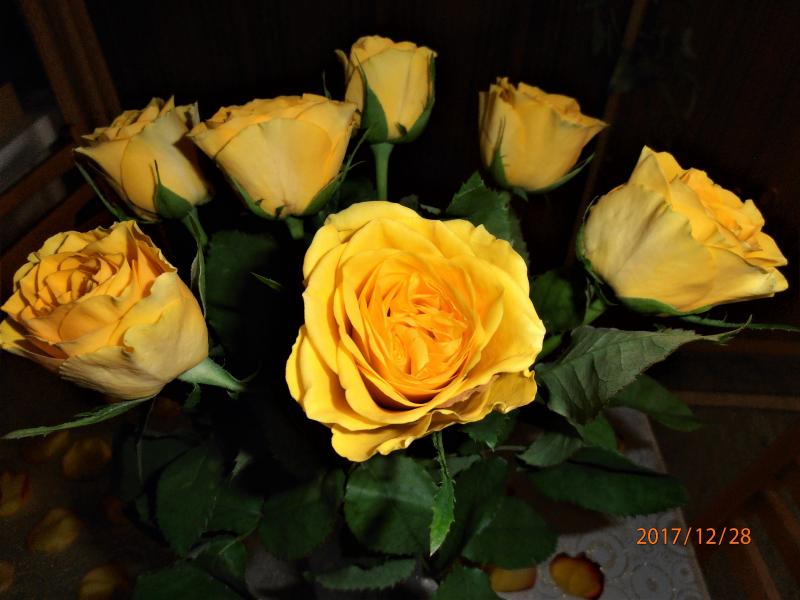 žluté růže skládačky online