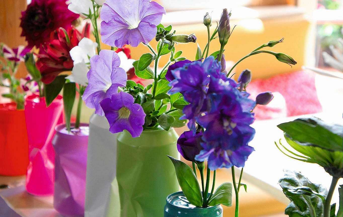 Показване на различни цветя онлайн пъзел