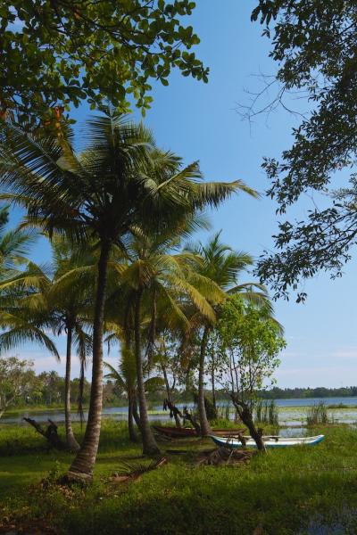 Wetlands in Sri Lanka legpuzzel online