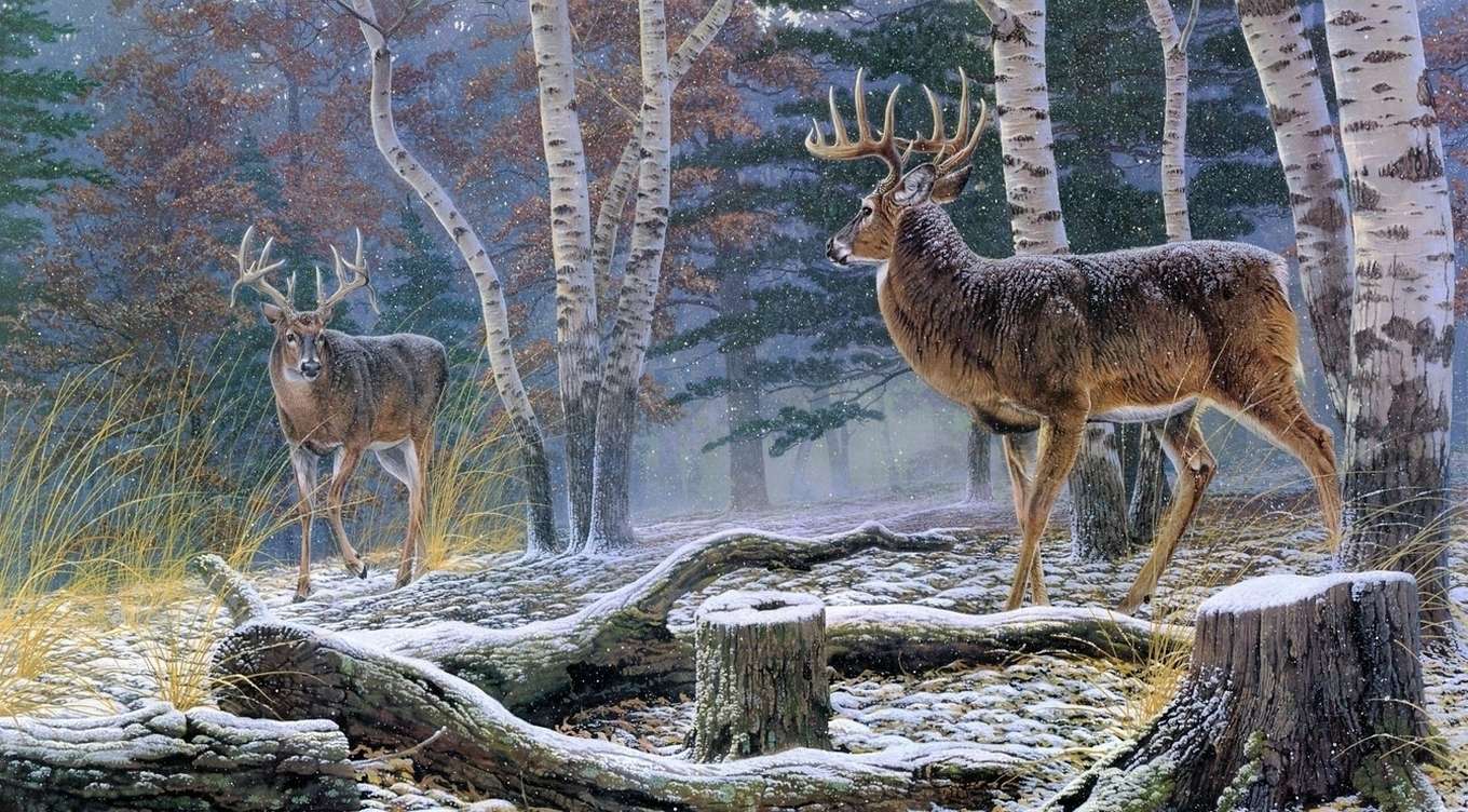 Winter in het bos legpuzzel online