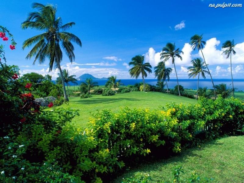 пальмы на острове пазл онлайн