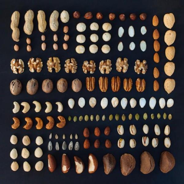 ořechy a ořechy online puzzle
