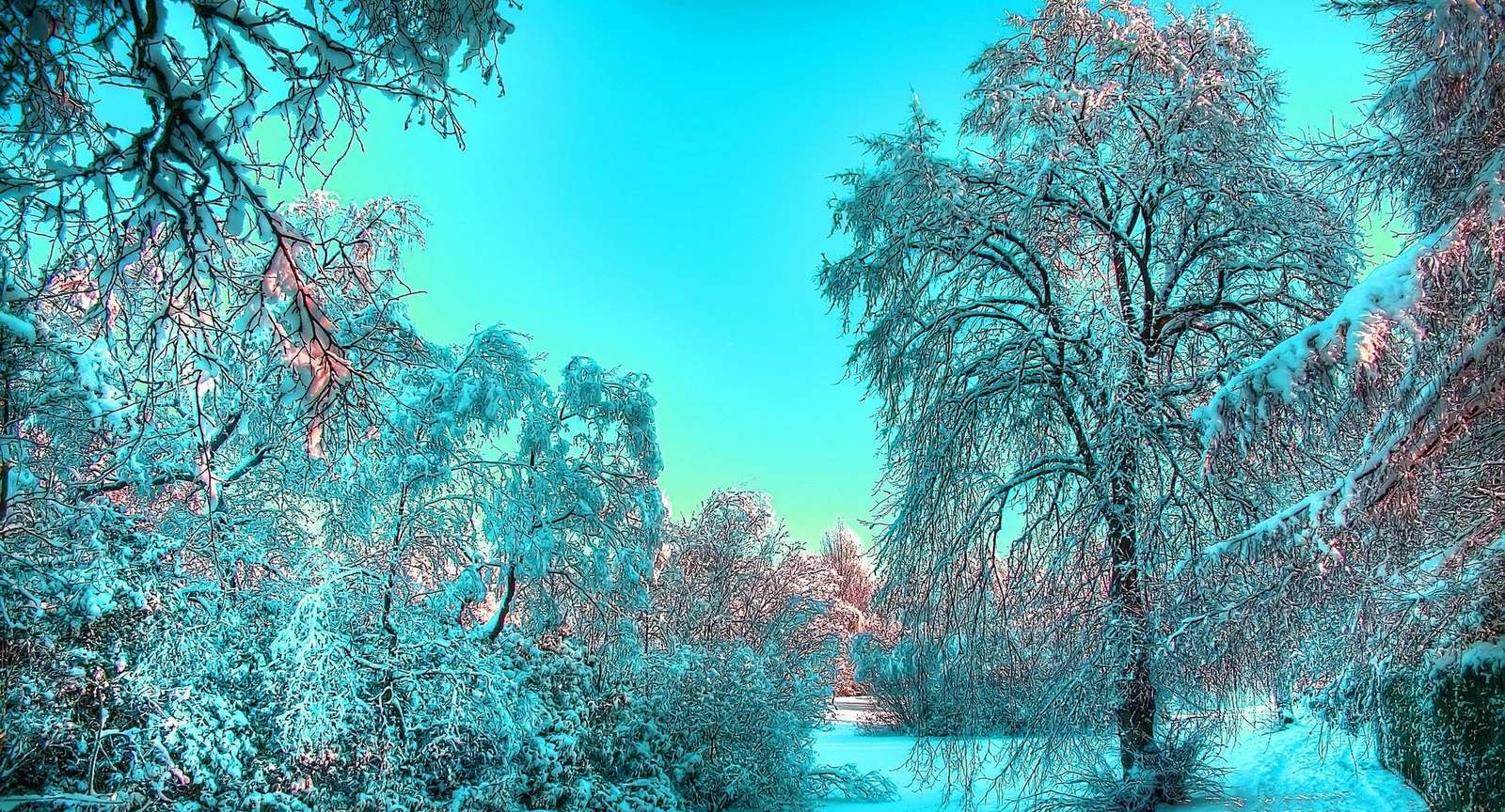 Winter landschap online puzzel
