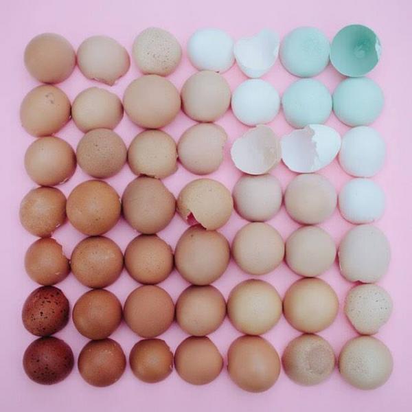 яєчні шкаралупи пазл онлайн