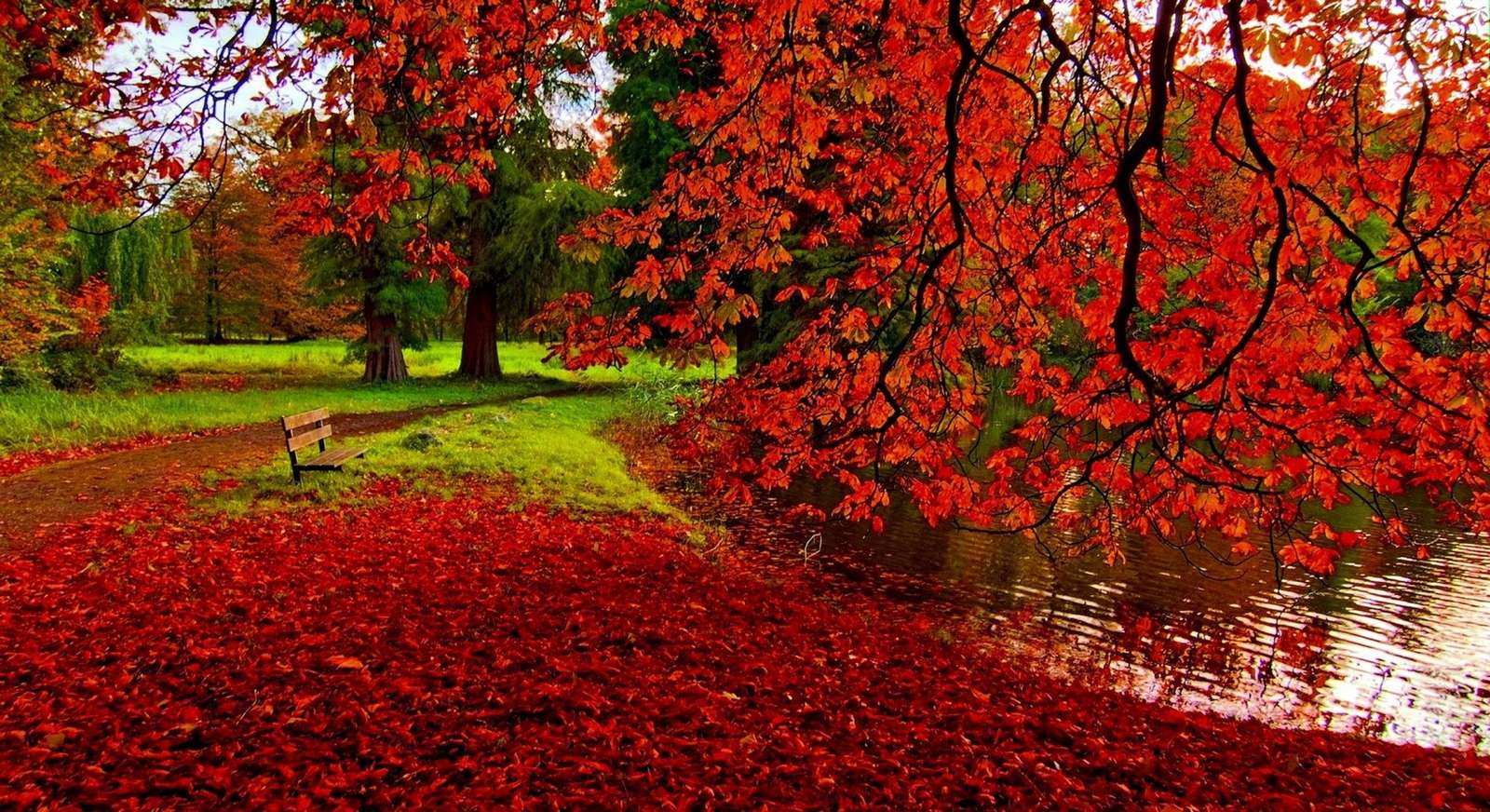 Autumn in the park jigsaw puzzle online