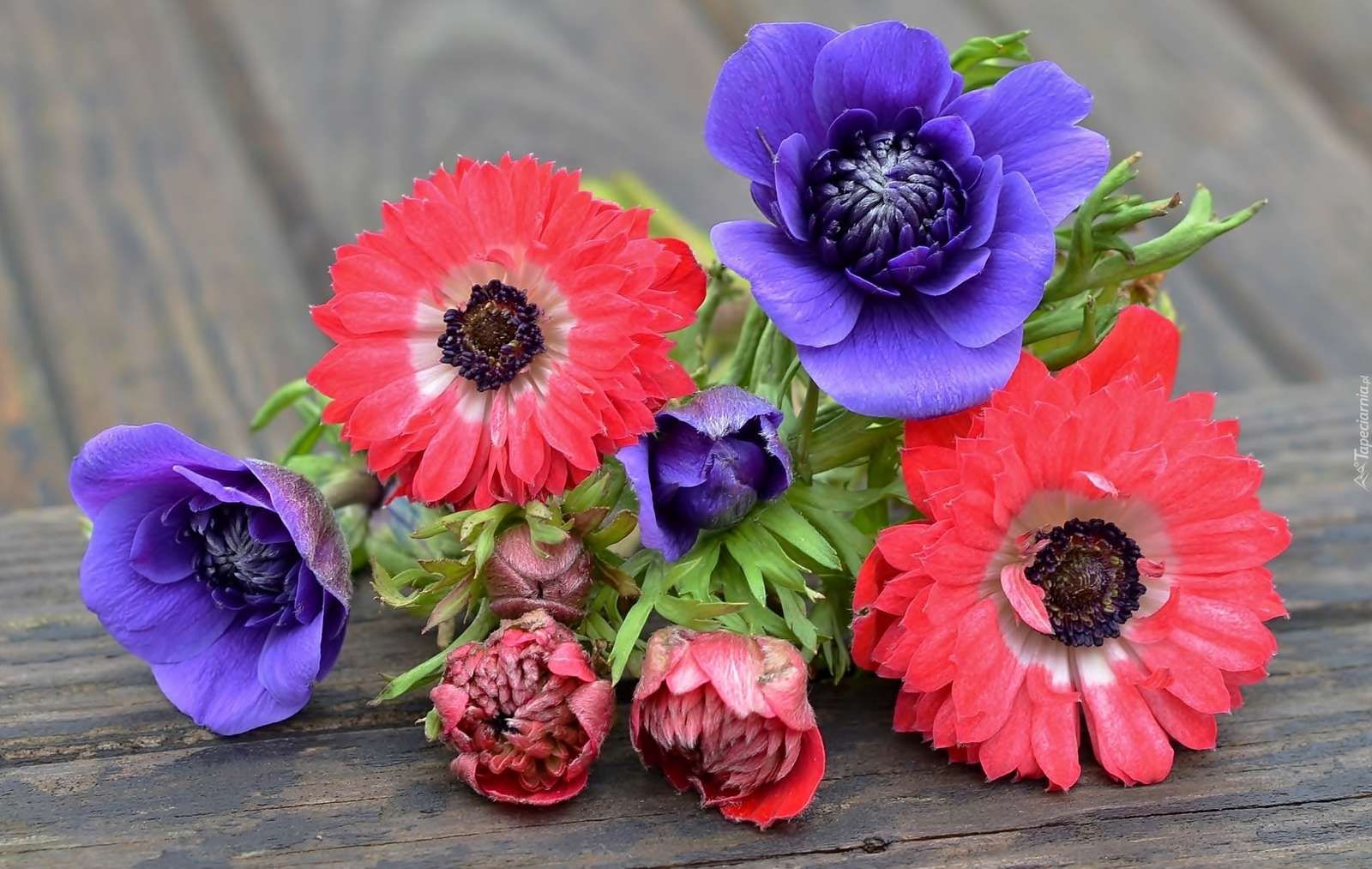 πολύχρωμα λουλούδια παζλ online