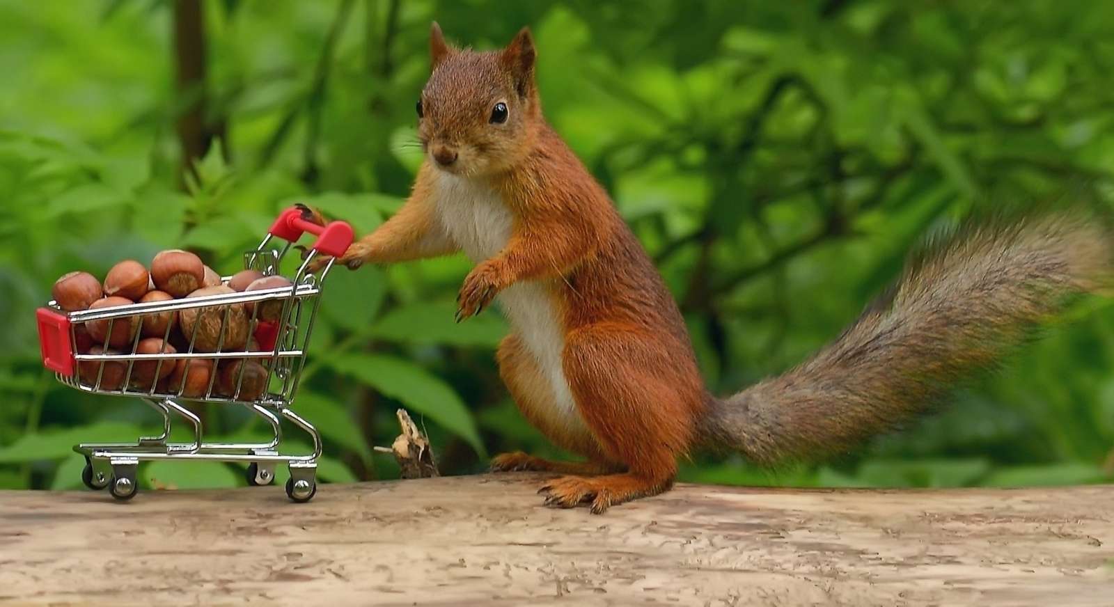 De eekhoorn is aan het winkelen legpuzzel online