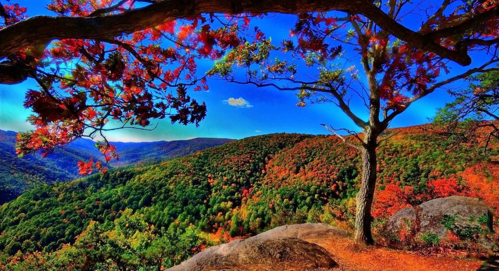 Colorful mountainside jigsaw puzzle online
