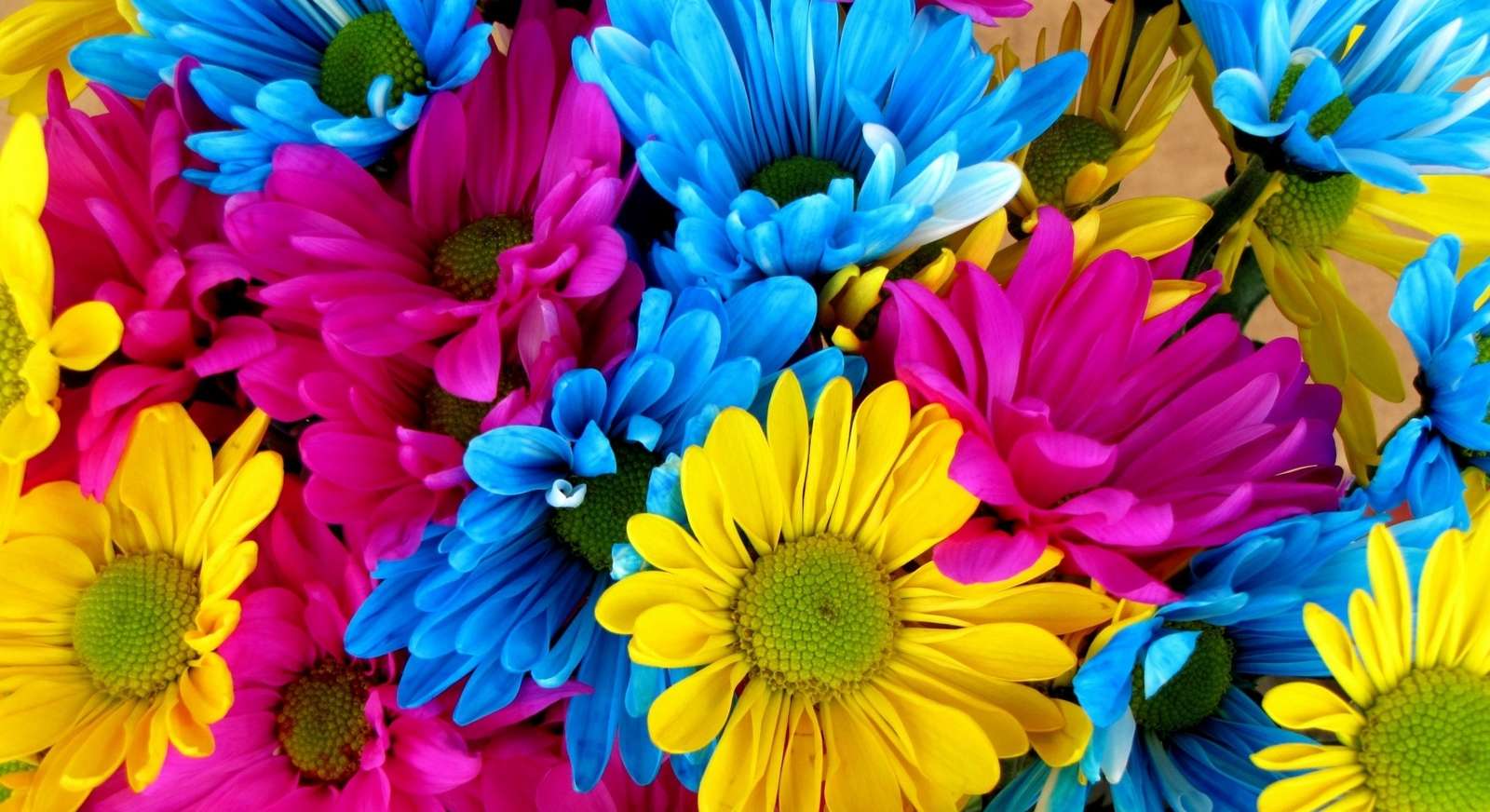 fiori colorati puzzle online