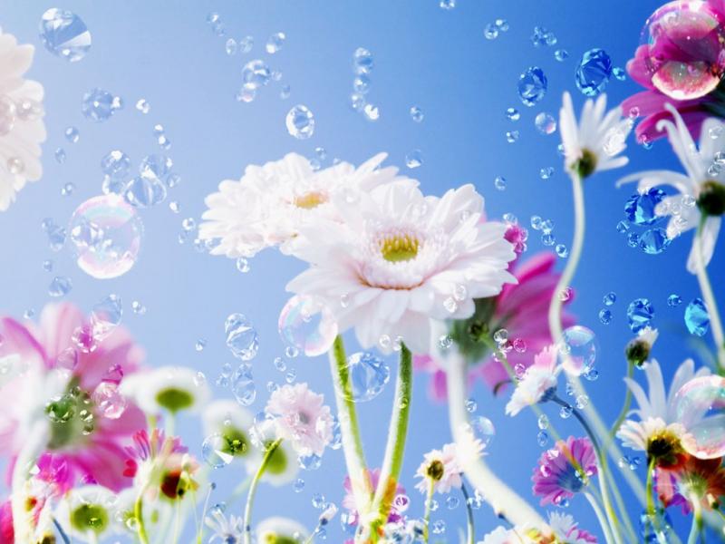 virágok és tavasz online puzzle