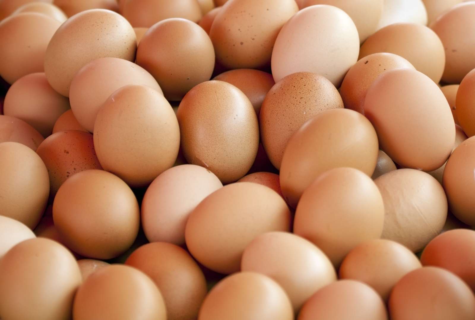 Huevos de pascua rompecabezas en línea