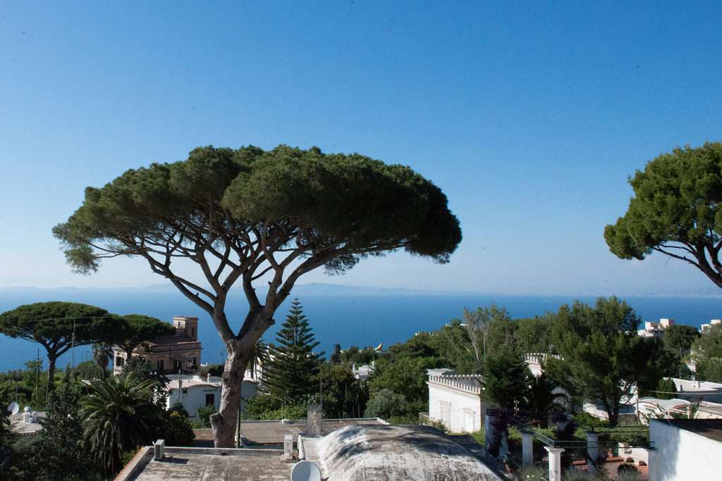Sur l'île de Capri - Italie puzzle en ligne