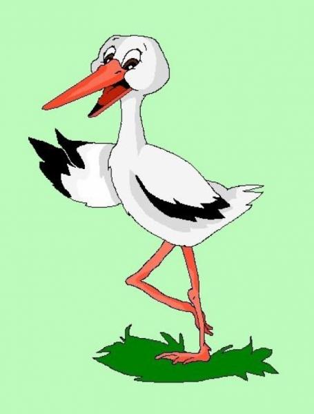 stork with a red beak jigsaw puzzle online