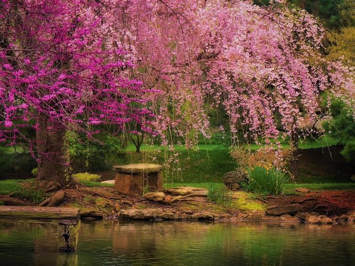 Spring in the park jigsaw puzzle online