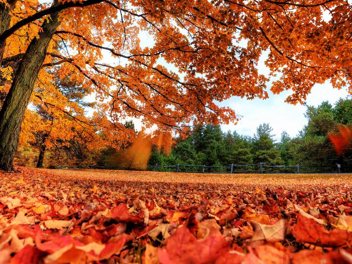 Осенний пейзаж онлайн-пазл