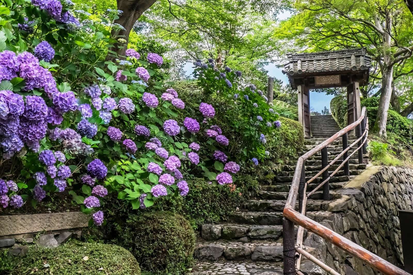 Japán kert kirakós online