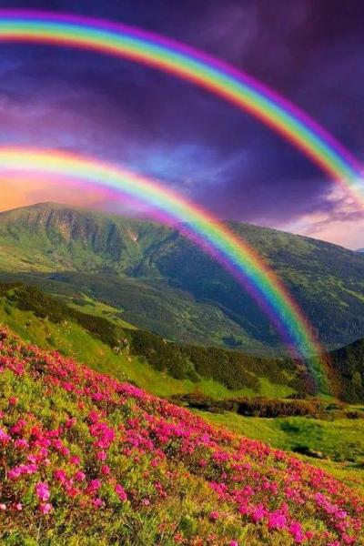 färgglada regnbågens regnbåge pussel på nätet