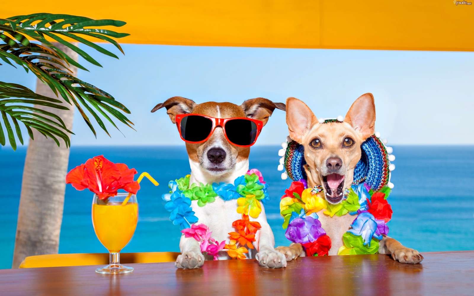 Honden op vakantie legpuzzel online