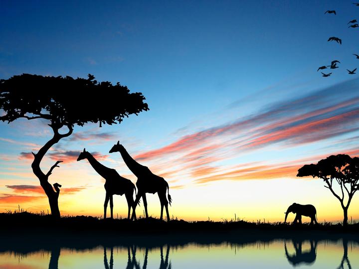 at the waterhole jigsaw puzzle online