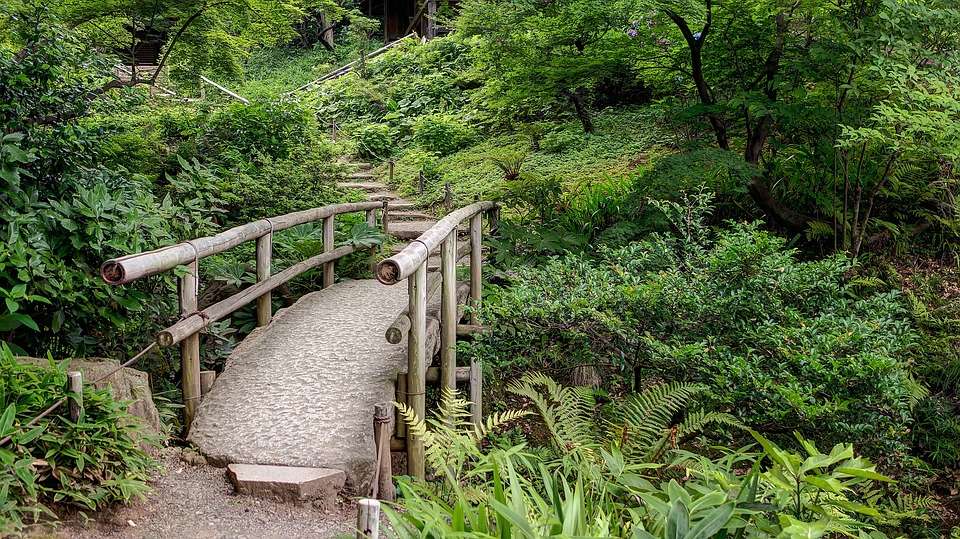 Ιαπωνικός κήπος. online παζλ