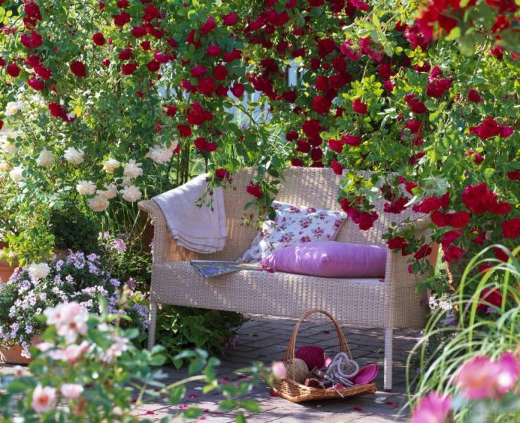 Κήπος με τριανταφυλλιές παζλ online