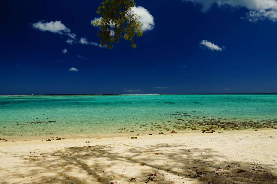 Пляж на Маврикии. онлайн-пазл